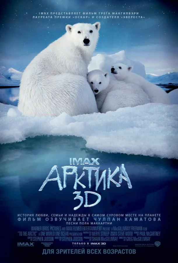 Смотреть Фильм Арктика(2012) бесплатно